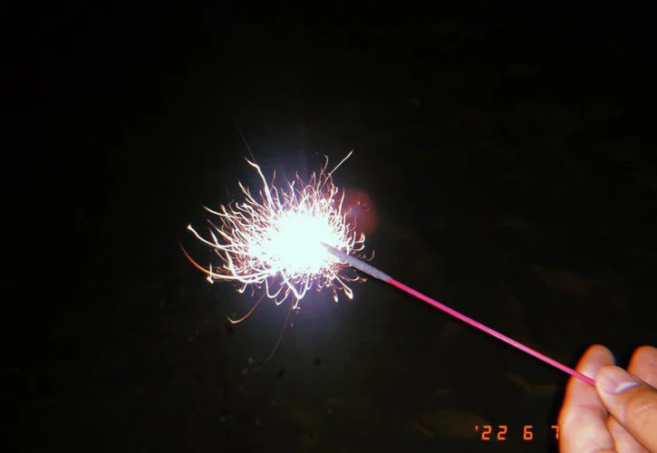 最後の花火に今年もなったな