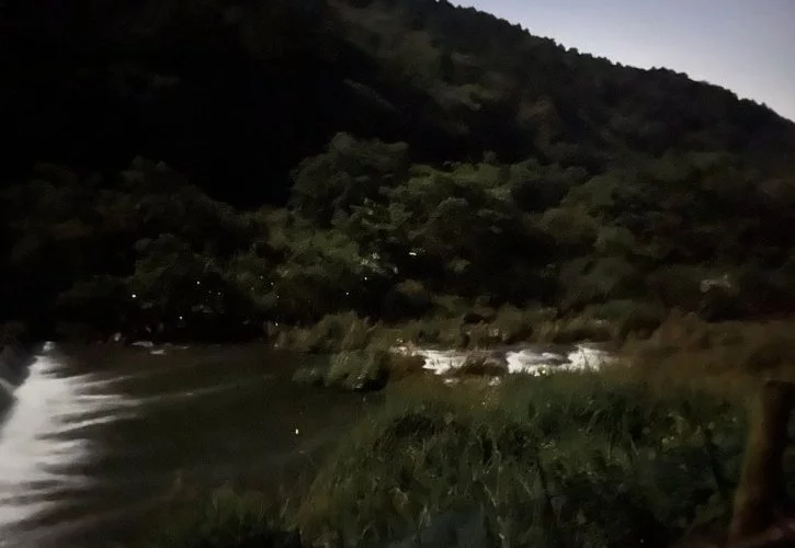 蛍の光