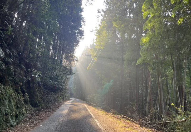 朝山珈琲？！